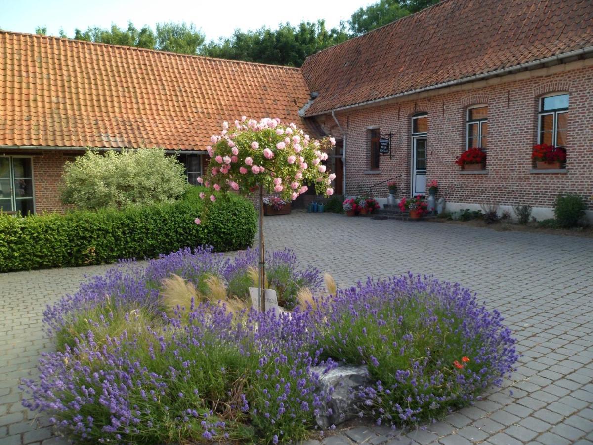 Gite De La Noyelle A Sainghin En Melantois Exteriör bild